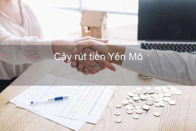 Cây rút tiền Yên Mô Ninh Bình Cây rút tiền Yên Mô Ninh Bình