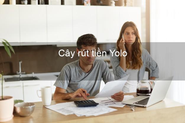 Cây rút tiền Yolo Online Cây rút tiền Yolo Online