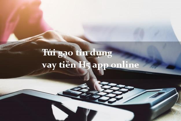 Túi gạo tín dụng vay tiền H5 app online